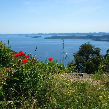 Appartement Luxury Sunrise Jacuzzi Apts, 50 M From The *