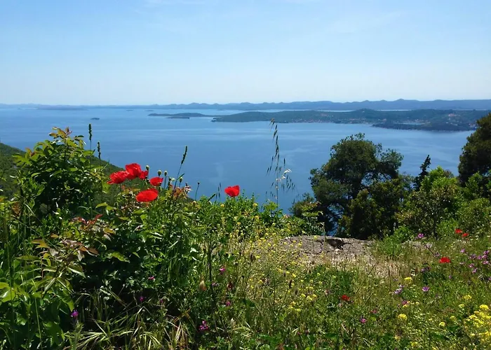 Appartement Luxury Sunrise Jacuzzi Apts, 50 M From The *